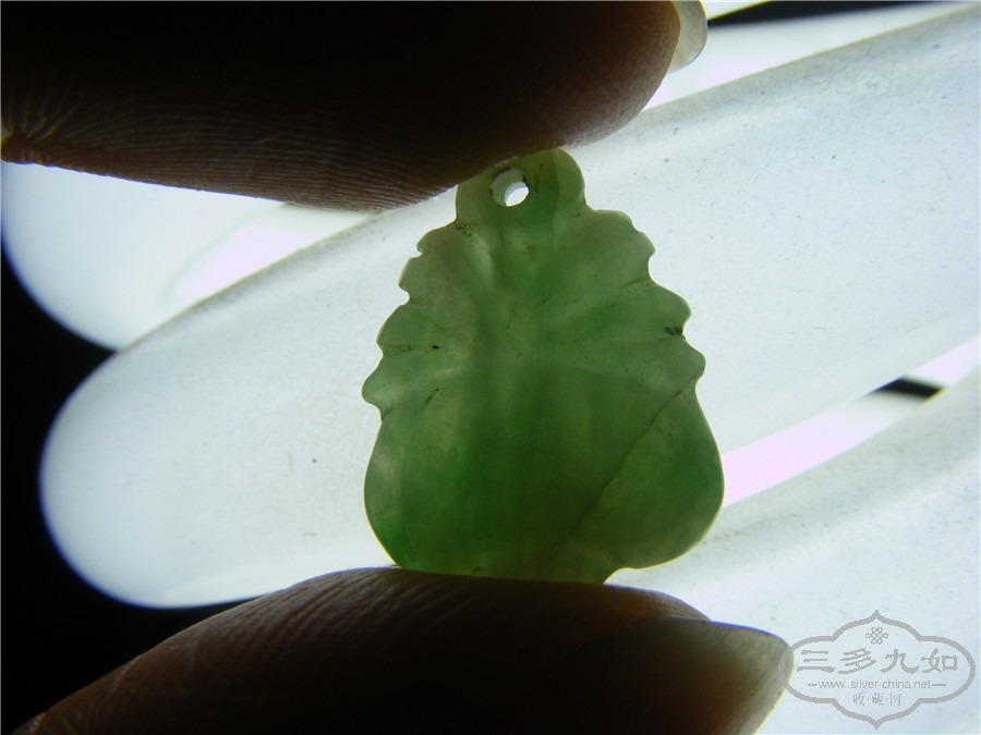 DSCF8260.jpg
