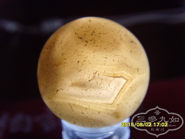 SNV32990.JPG