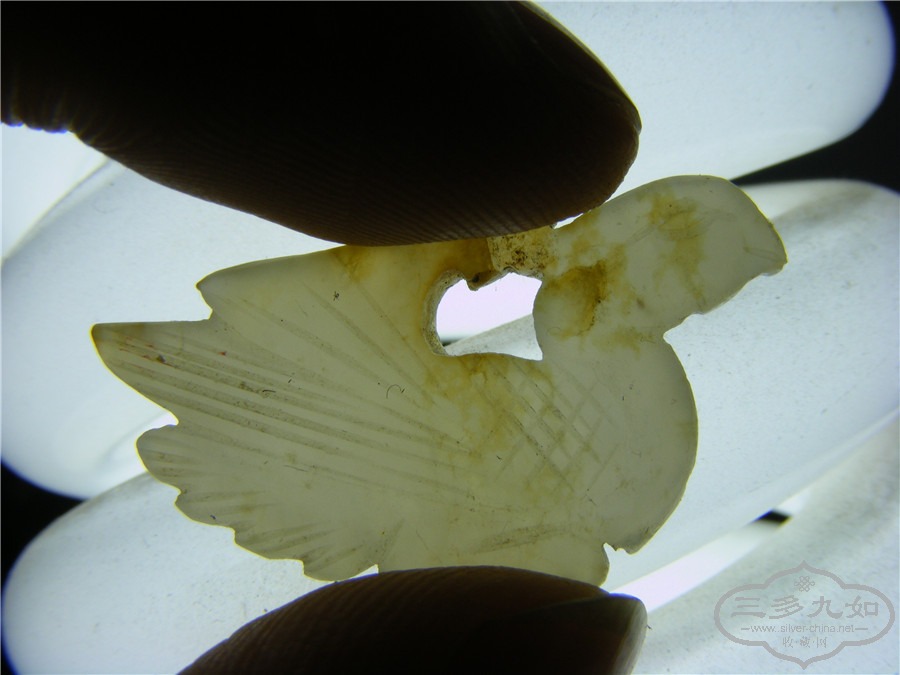 DSCF1072.jpg