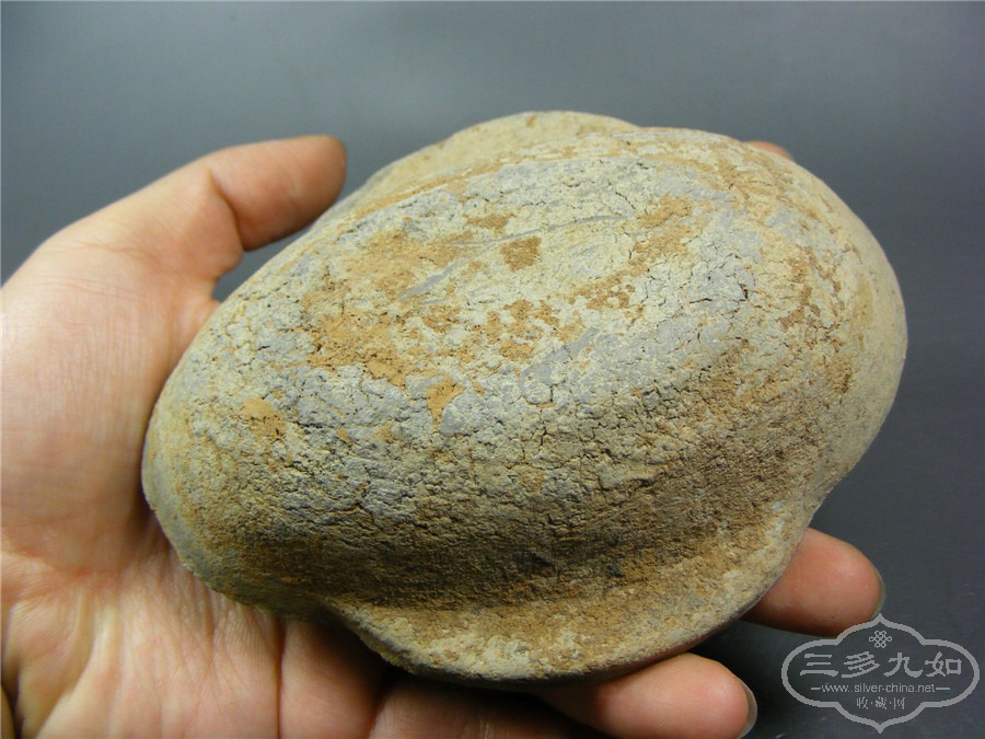 DSCF1831.jpg