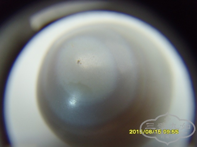 SNV33423.JPG