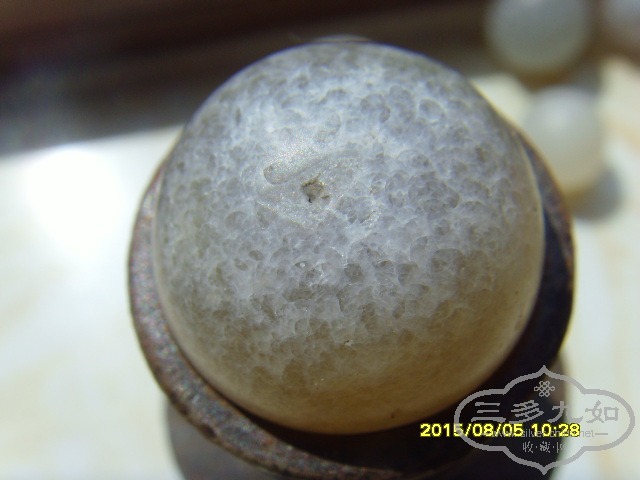 SNV33097.JPG