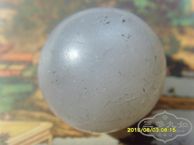SNV33001.JPG