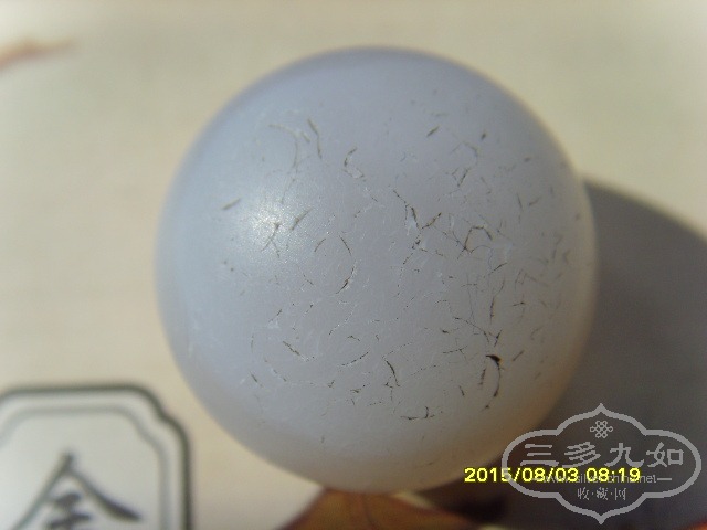 SNV33009.JPG