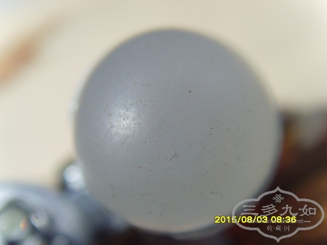SNV33021.JPG