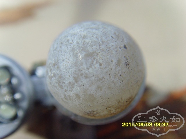 SNV33031.JPG