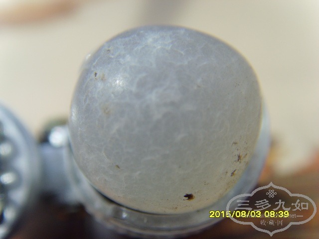 SNV33037.JPG