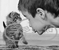 20111116153408_QRAJw_thumb_200_0.jpg