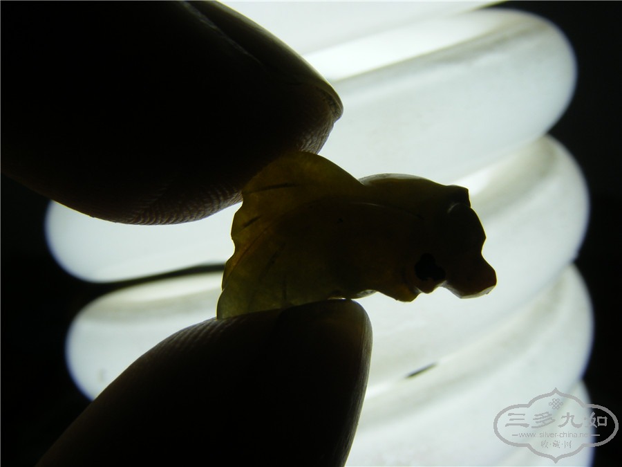DSCF3950.jpg