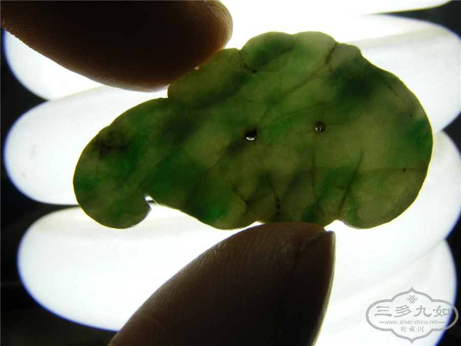 DSCF9065.jpg