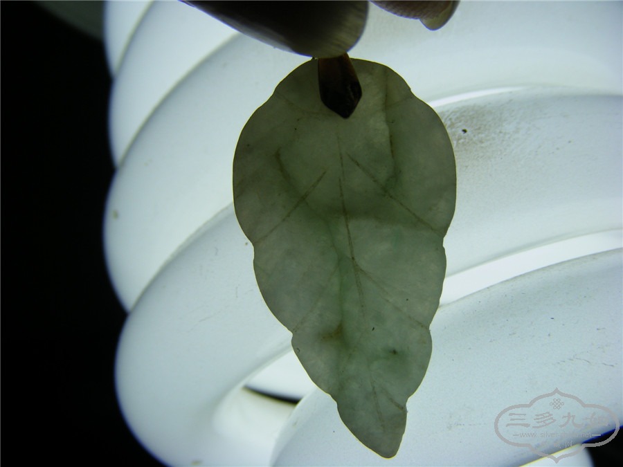 DSCF6239.jpg