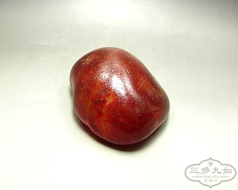 DSCN1249.jpg