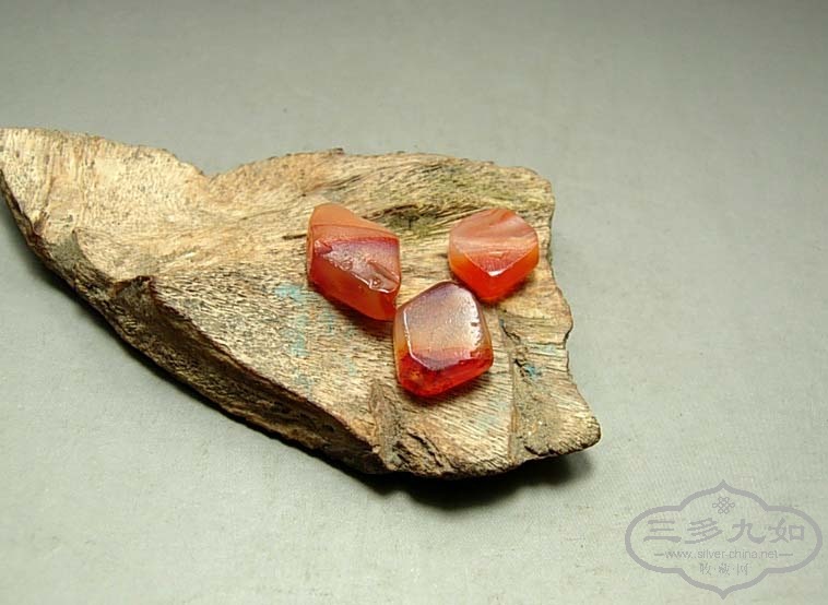 DSCN0831.jpg