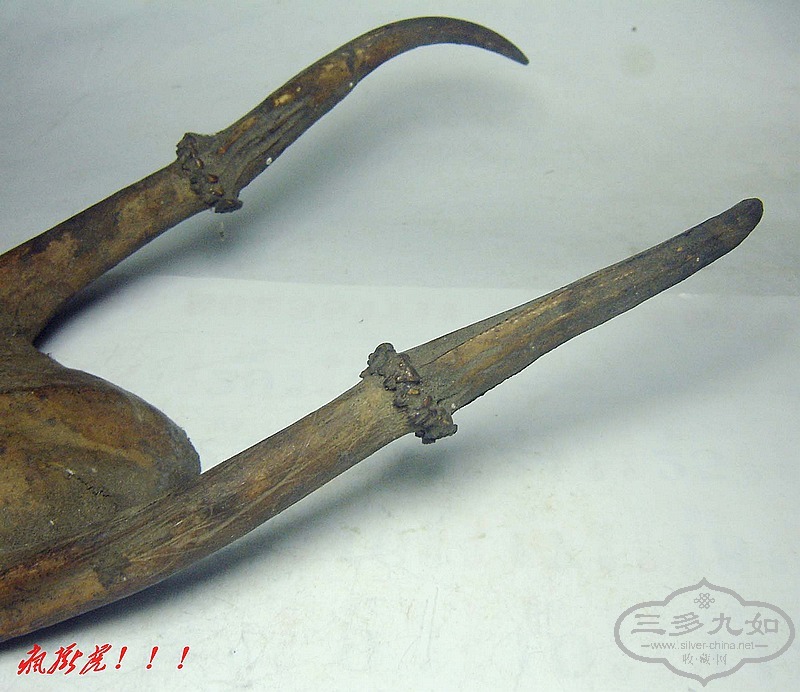 conew_dsc07879.jpg