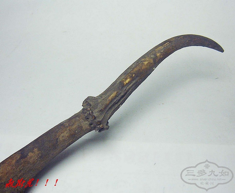 conew_dsc07880.jpg