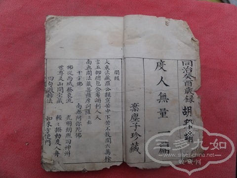 DSC04166.jpg