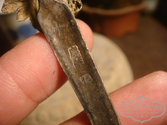 DSC01686.JPG