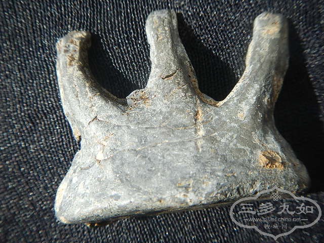 6.JPG