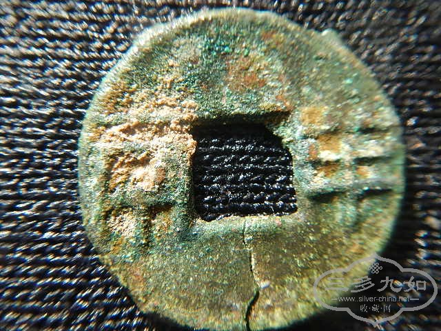 DSCN7902.JPG