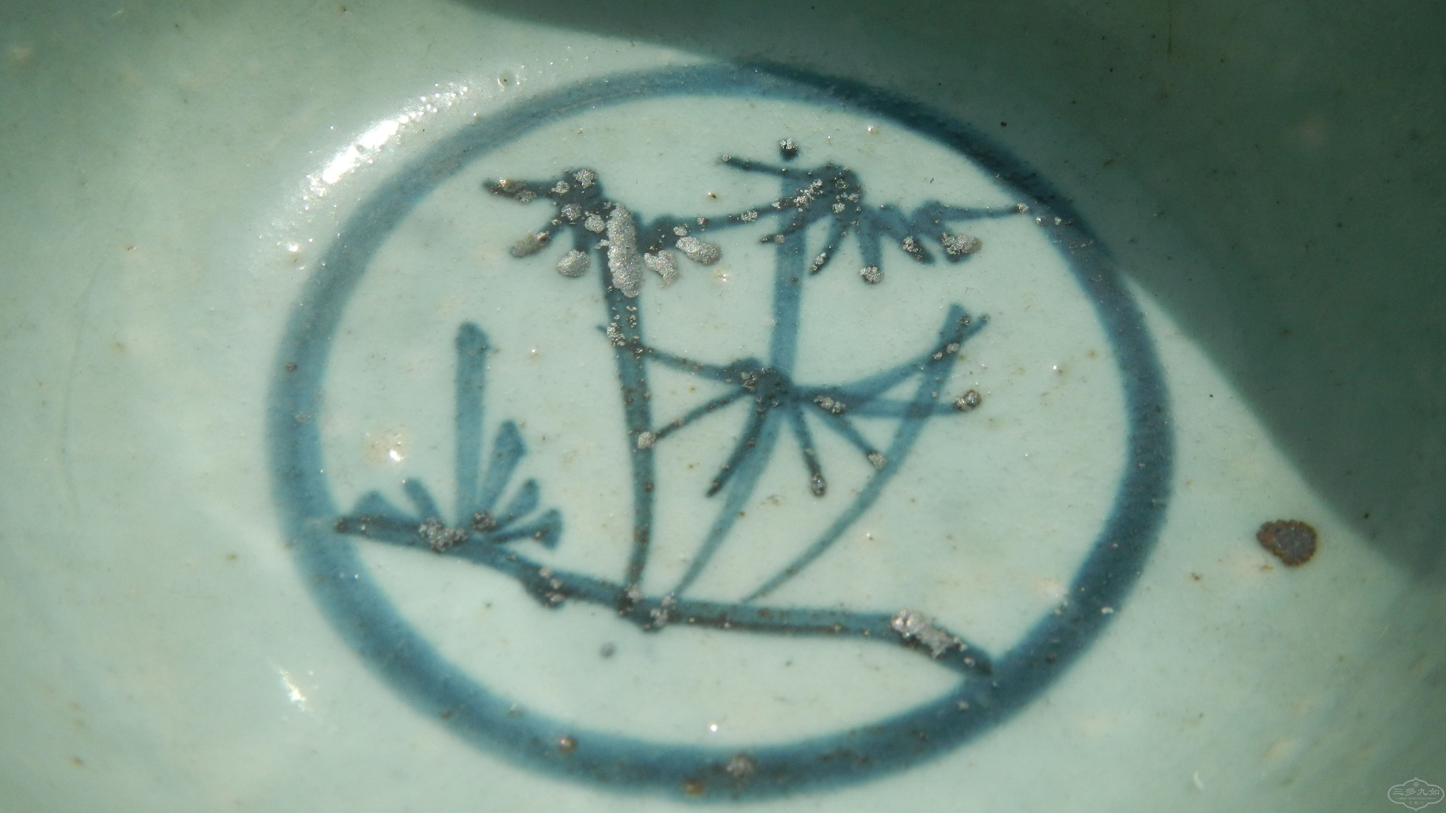 DSCN7130.JPG