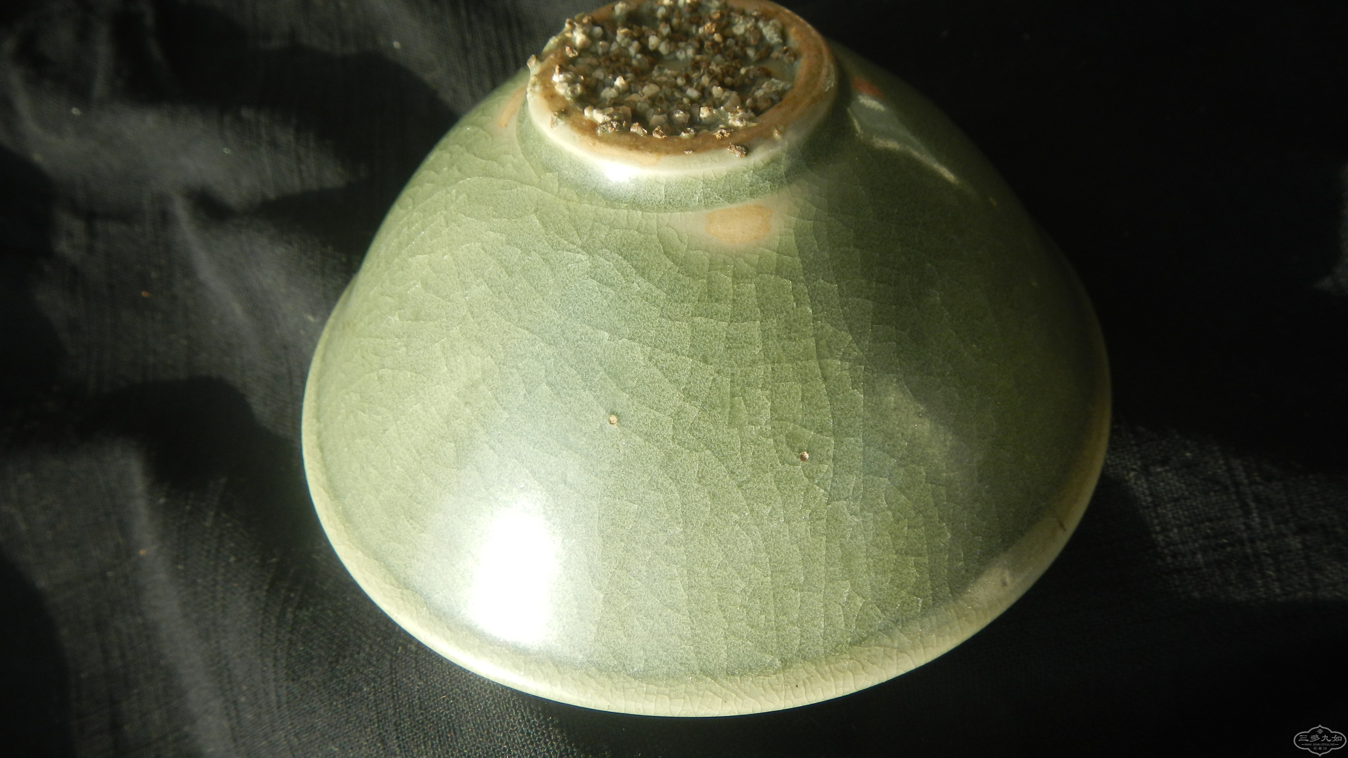DSCN7294.JPG