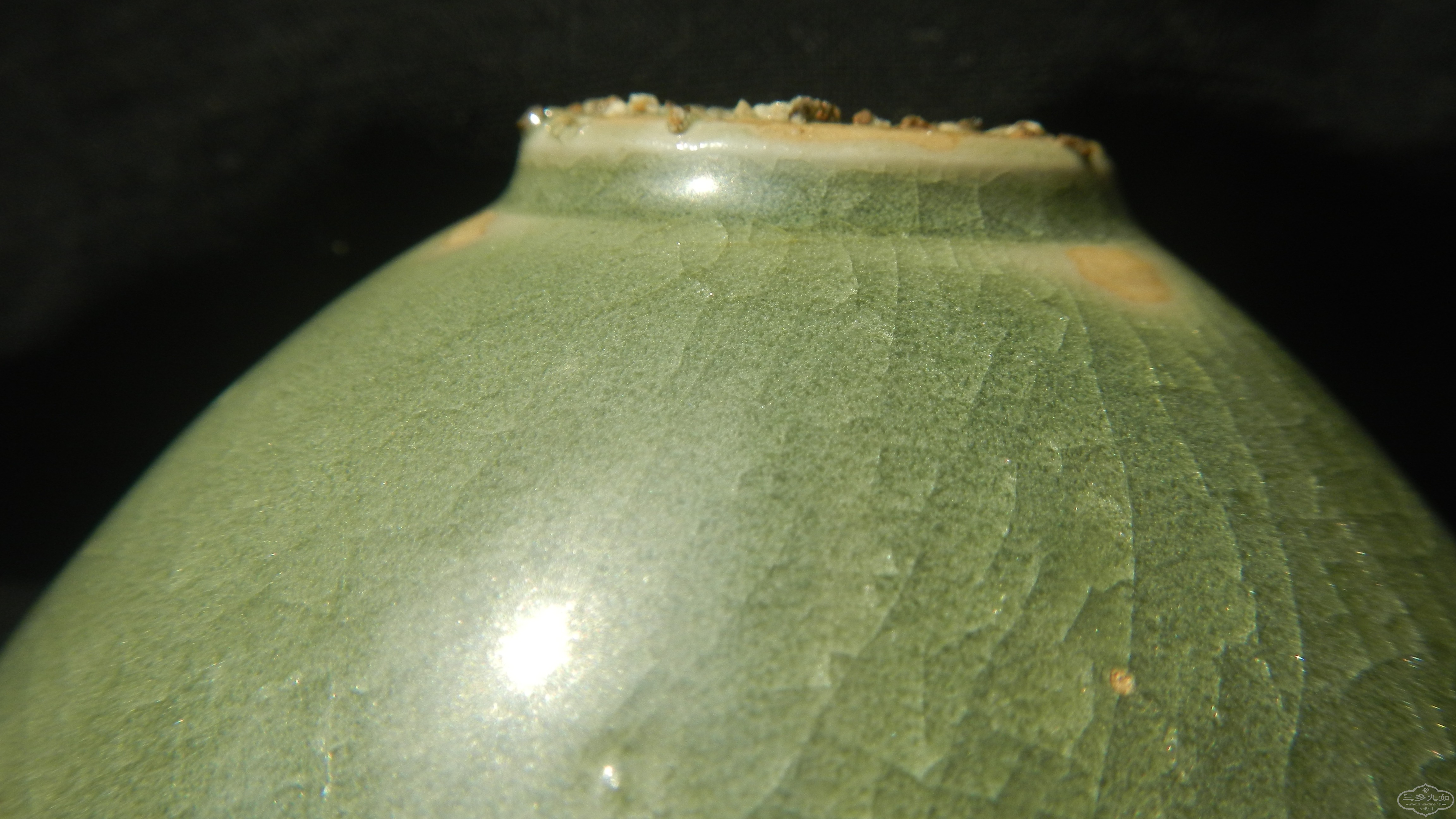 DSCN7306.JPG