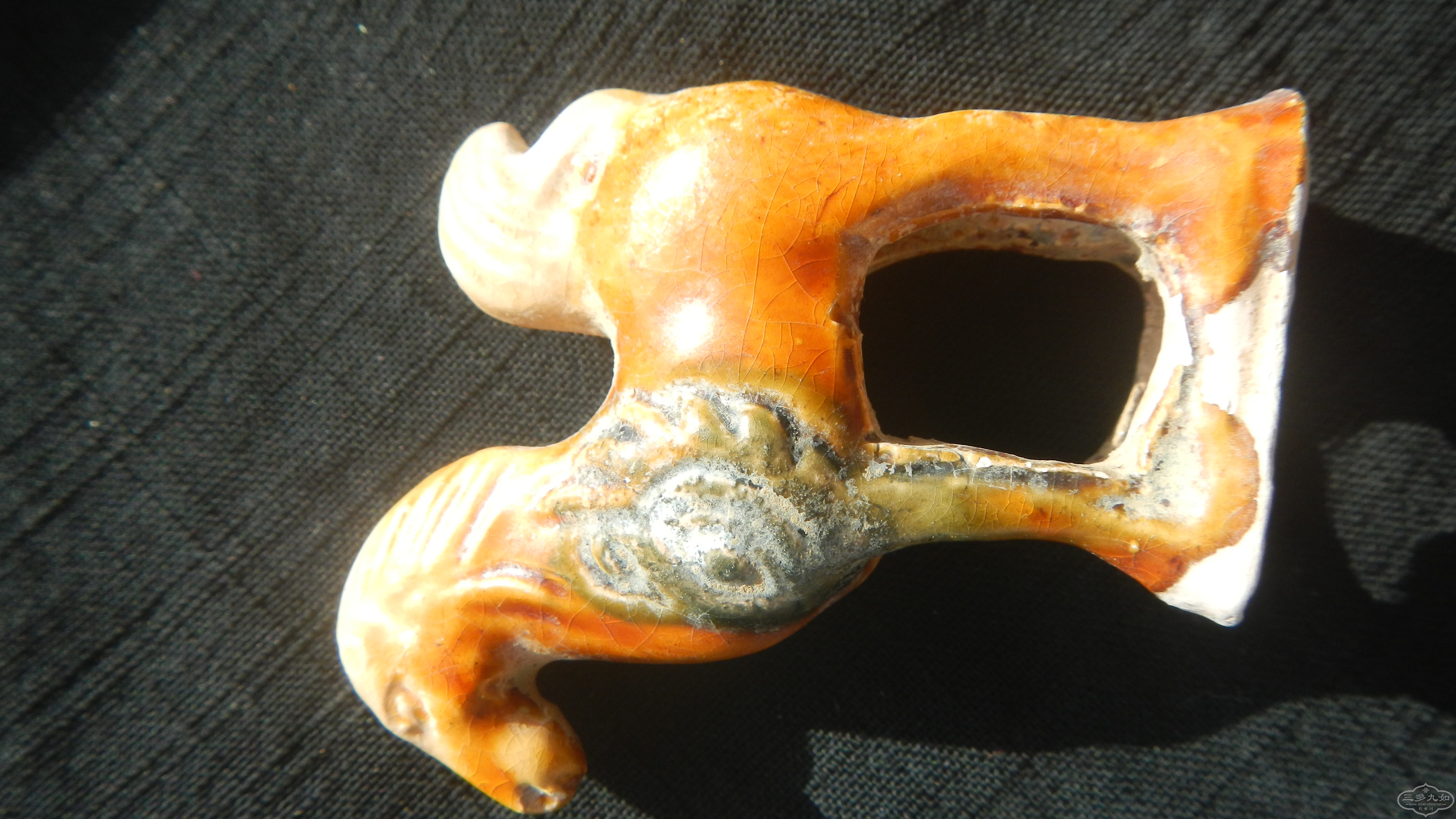 DSCN7362.JPG