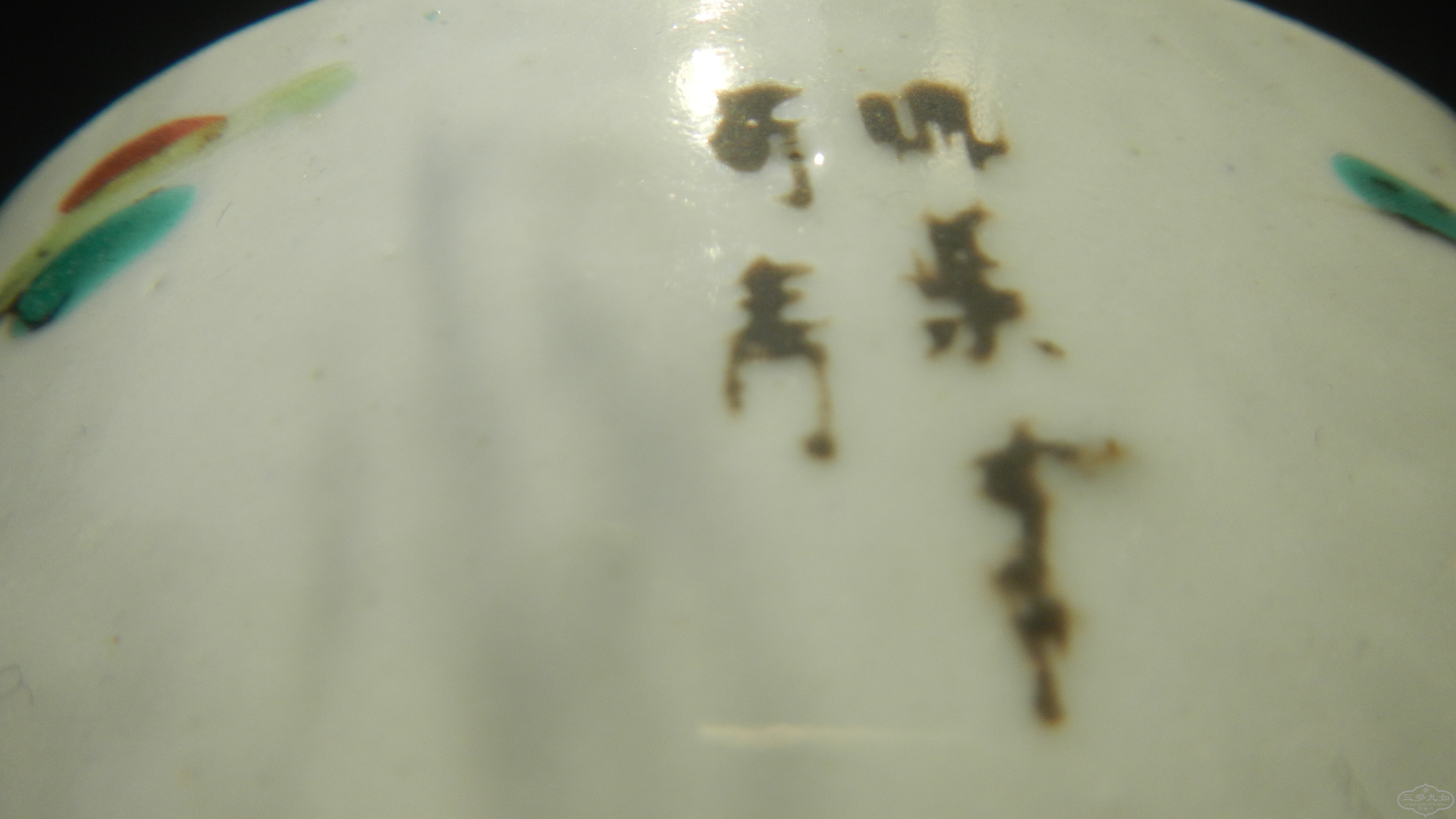 DSCN7843.JPG