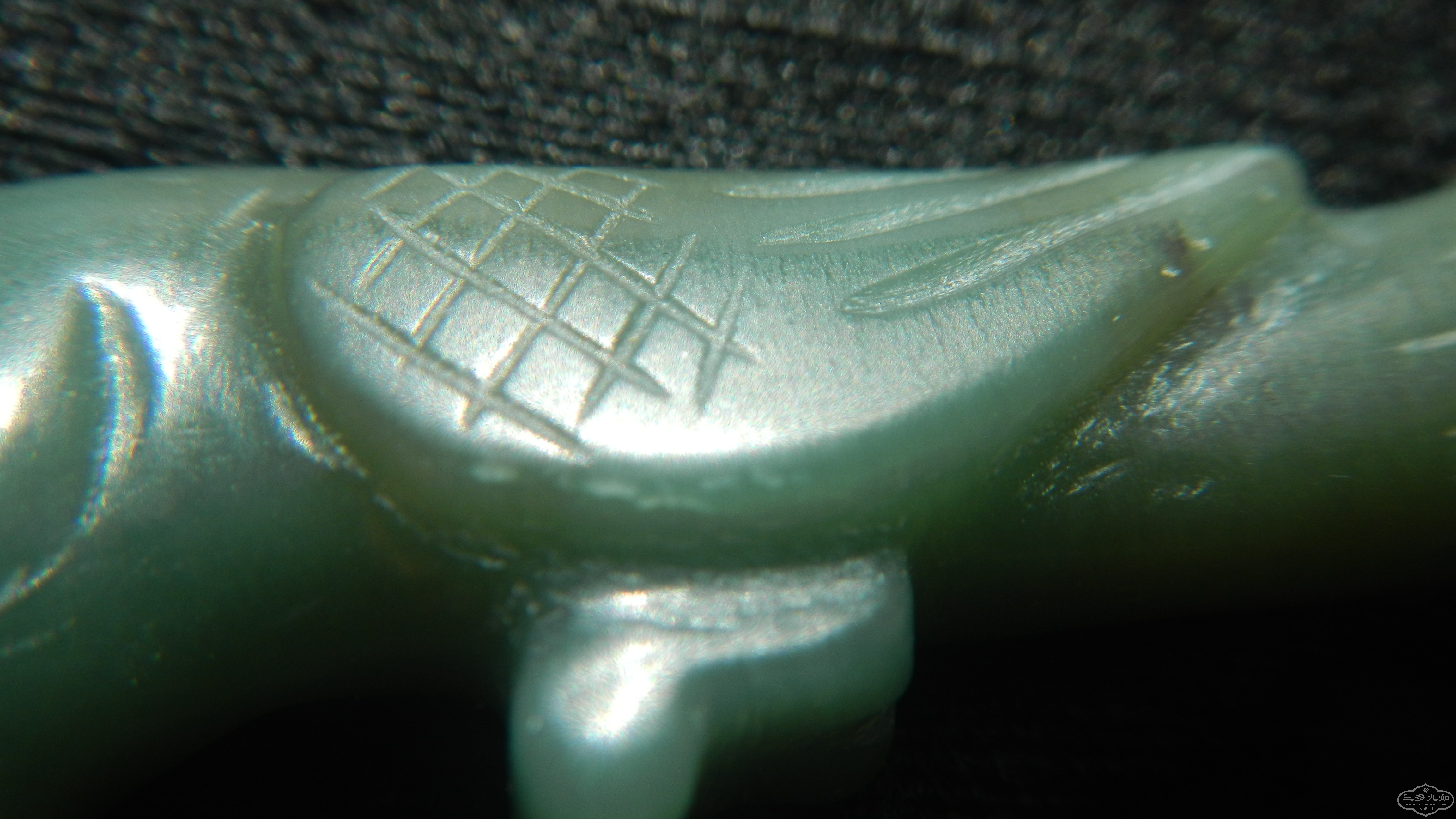 DSCN7904.JPG