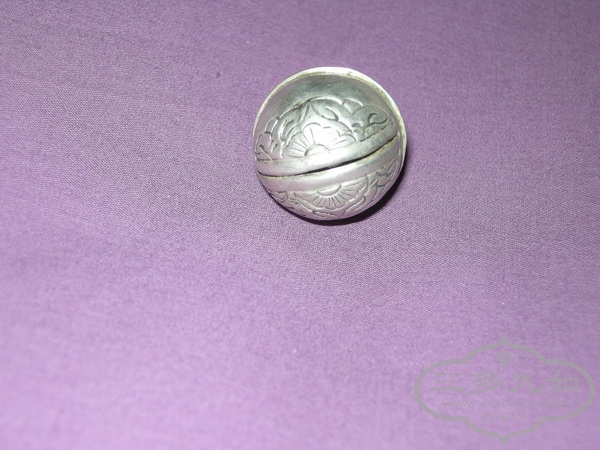 DSCN9795.jpg
