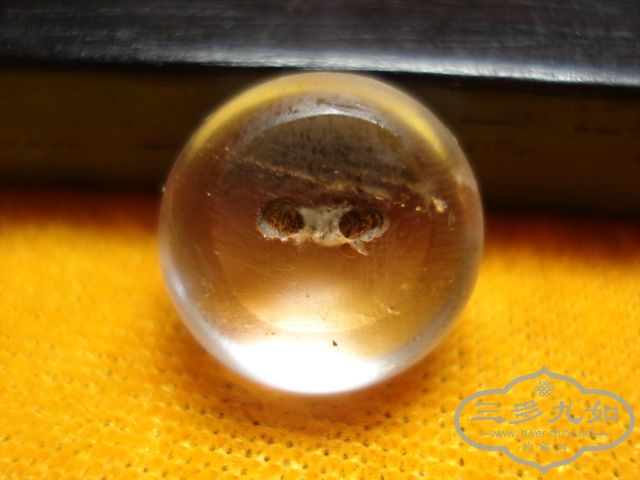DSC00735.JPG