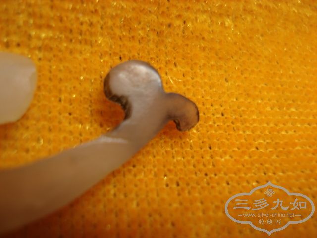 DSC01484.JPG