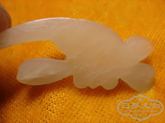 DSC01488.JPG