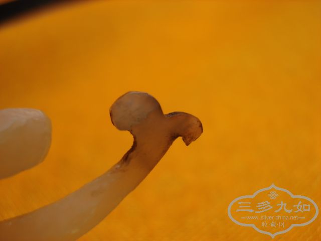 DSC01485.JPG