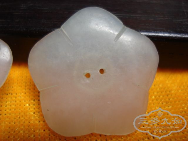 DSC01437.JPG