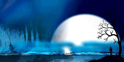 77875040.gif