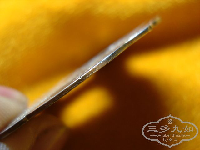 DSC02527.JPG