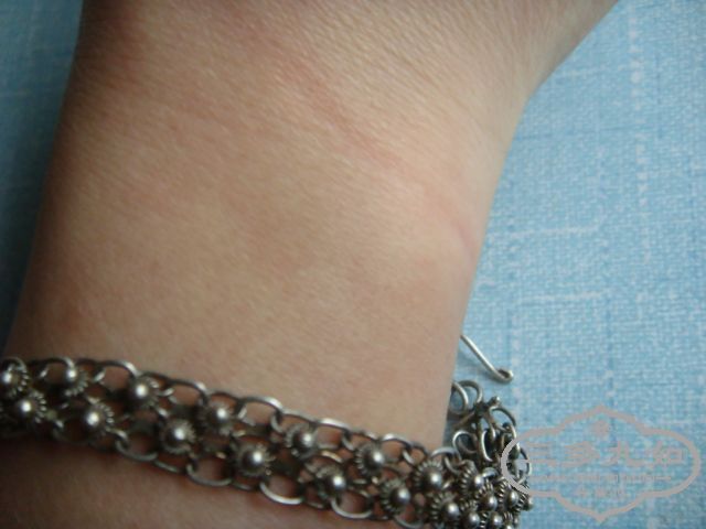 DSC00550.JPG