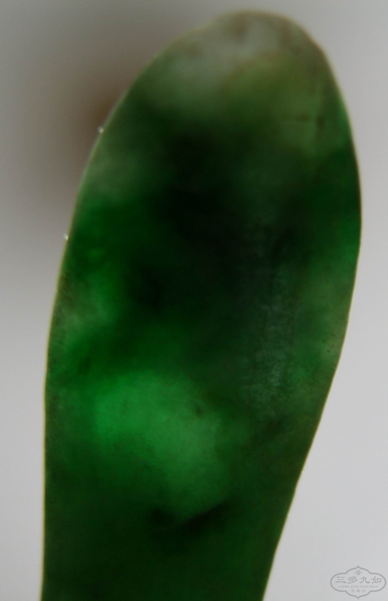 SS851748.JPG