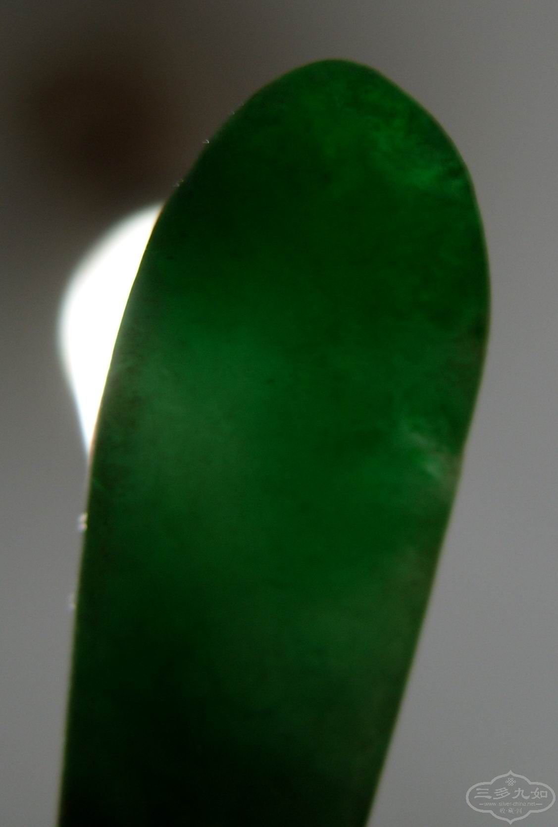 SS851745.JPG