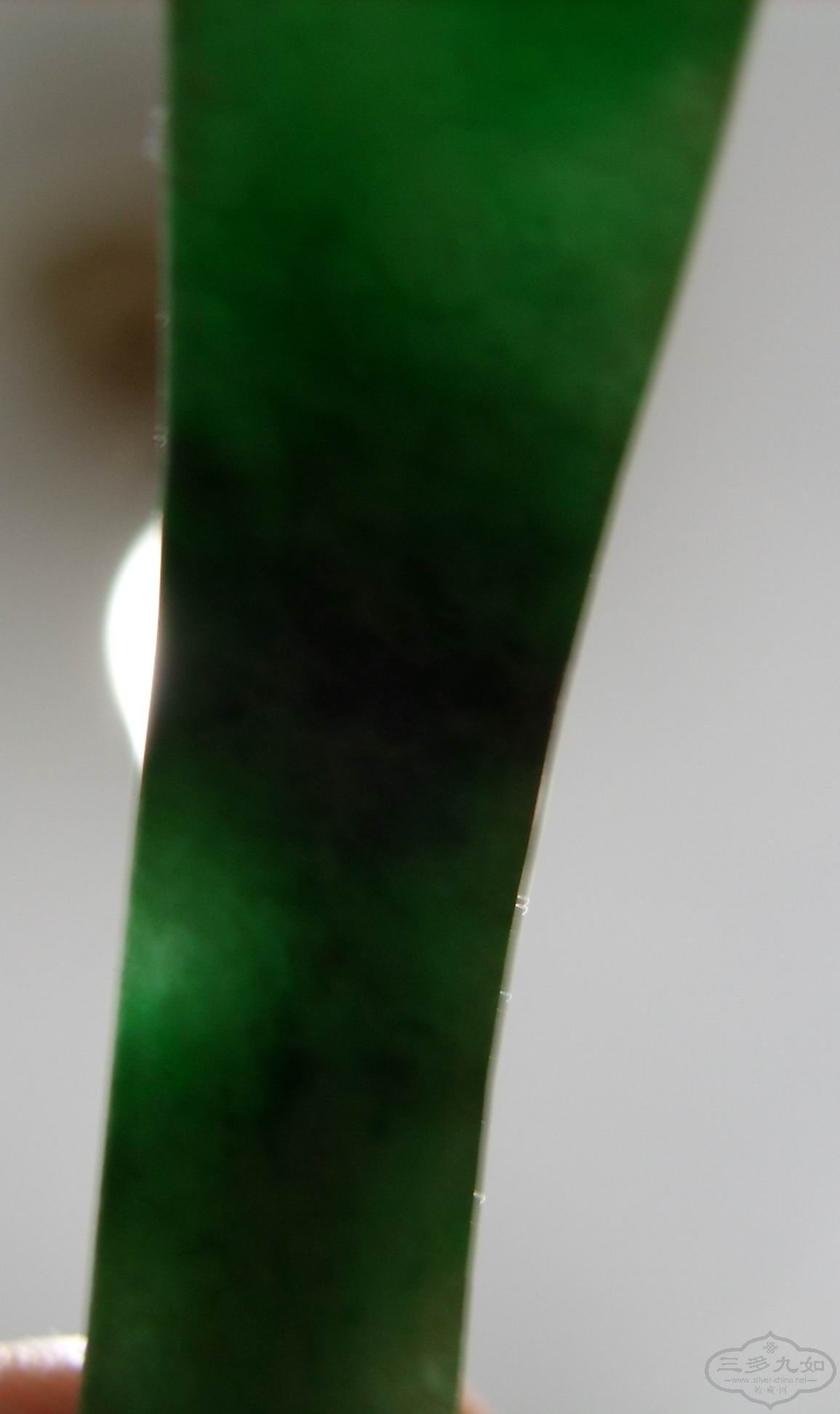 SS851746.JPG