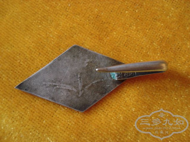 DSC08654.JPG