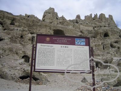 IMG_9412.jpg