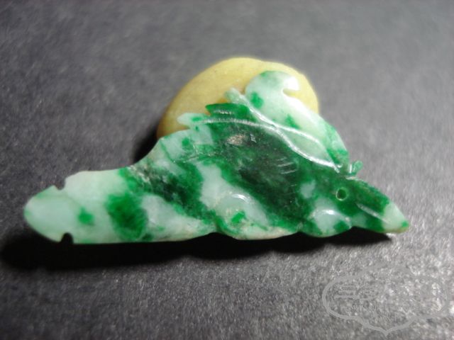 DSC00730.JPG