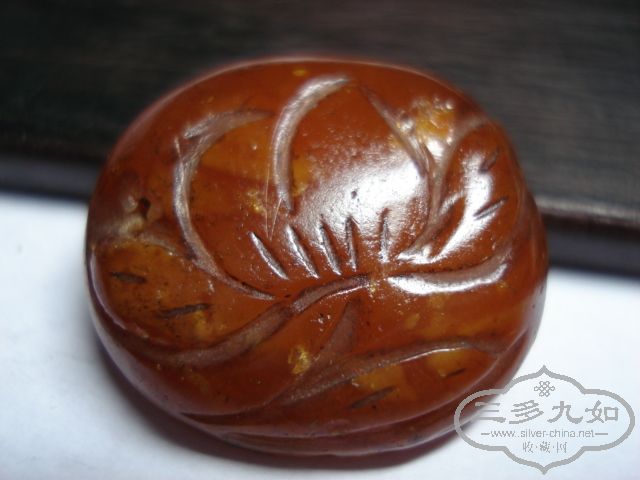 DSC01788.JPG