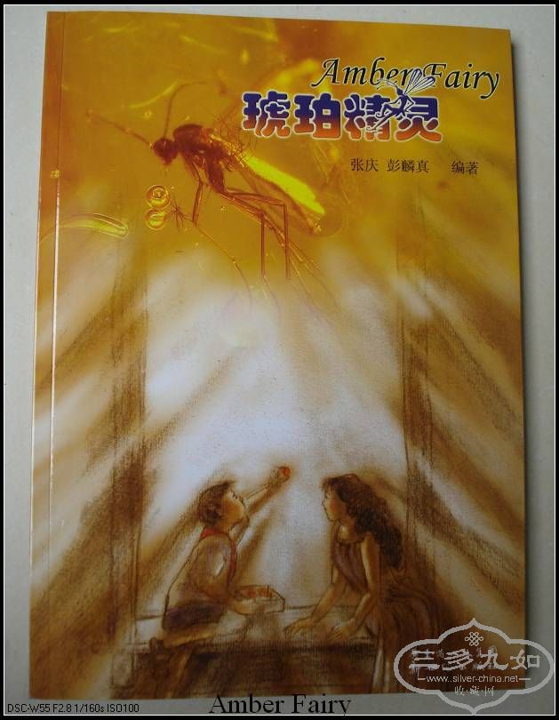 DSC08865_nEO_IMG.jpg
