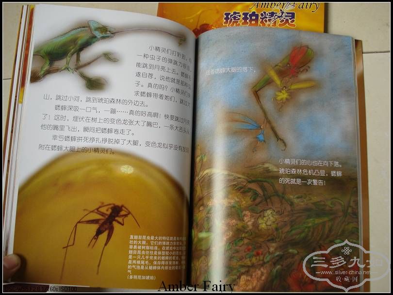 DSC08880_nEO_IMG.jpg