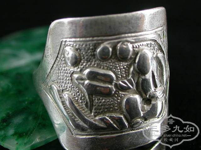DSCN1379.JPG
