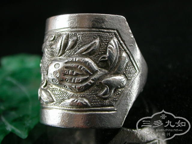 DSCN1478.JPG