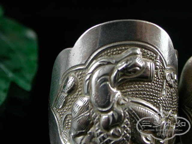 DSCN1491.JPG